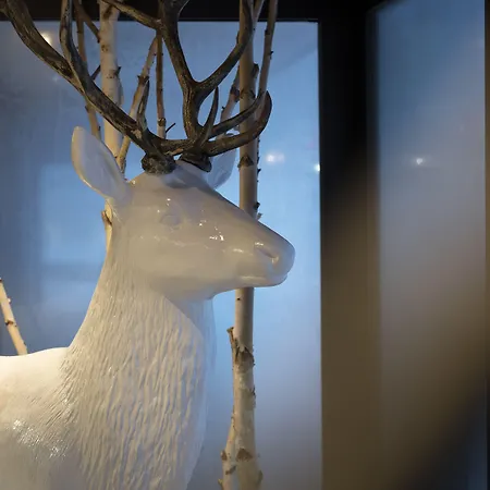 Le Cristal De Jade Appart hôtel Chamonix